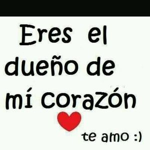 Meet your Posher, Angelica